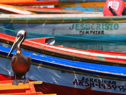 ISLA MARGARITA – VENEZUELA
